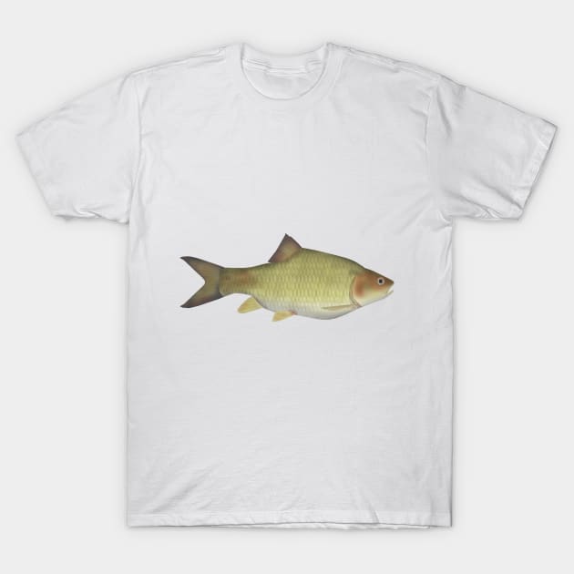 Labeobarbus surkis T-Shirt by FishFolkArt